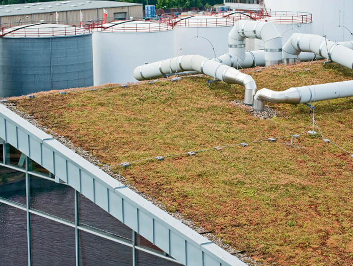 AdobeStock 209417593 Preview